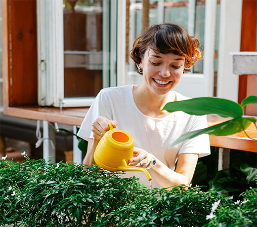 6 ideas tiradas para el riego de tus plantas